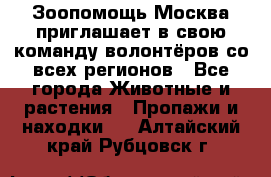 Зоопомощь.Москва приглашает в свою команду волонтёров со всех регионов - Все города Животные и растения » Пропажи и находки   . Алтайский край,Рубцовск г.